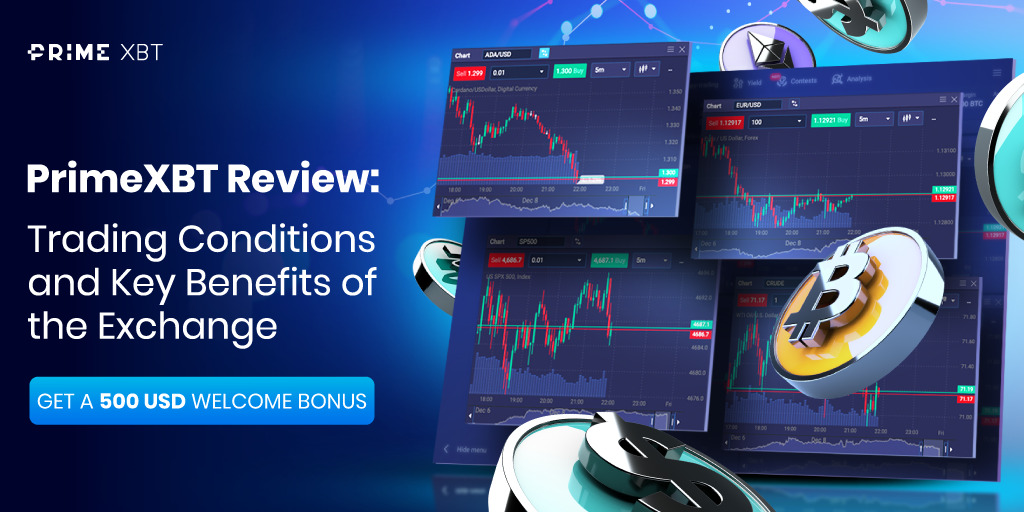 Unlocking Profit Potential A Deep Dive into PrimeXBT Copy Trading